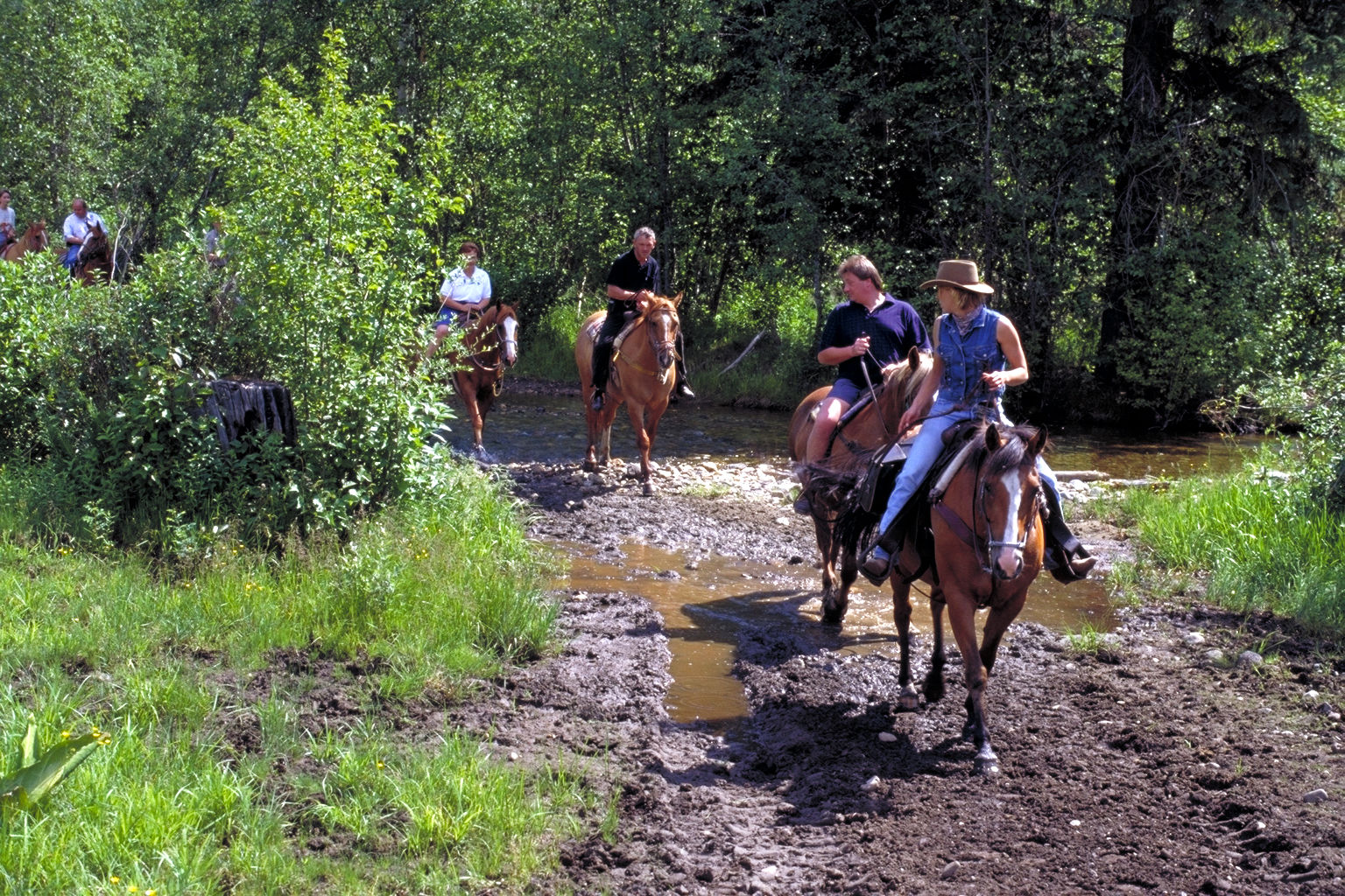 Wells Gray Guest Ranch Hotel Clearwater Exterior foto