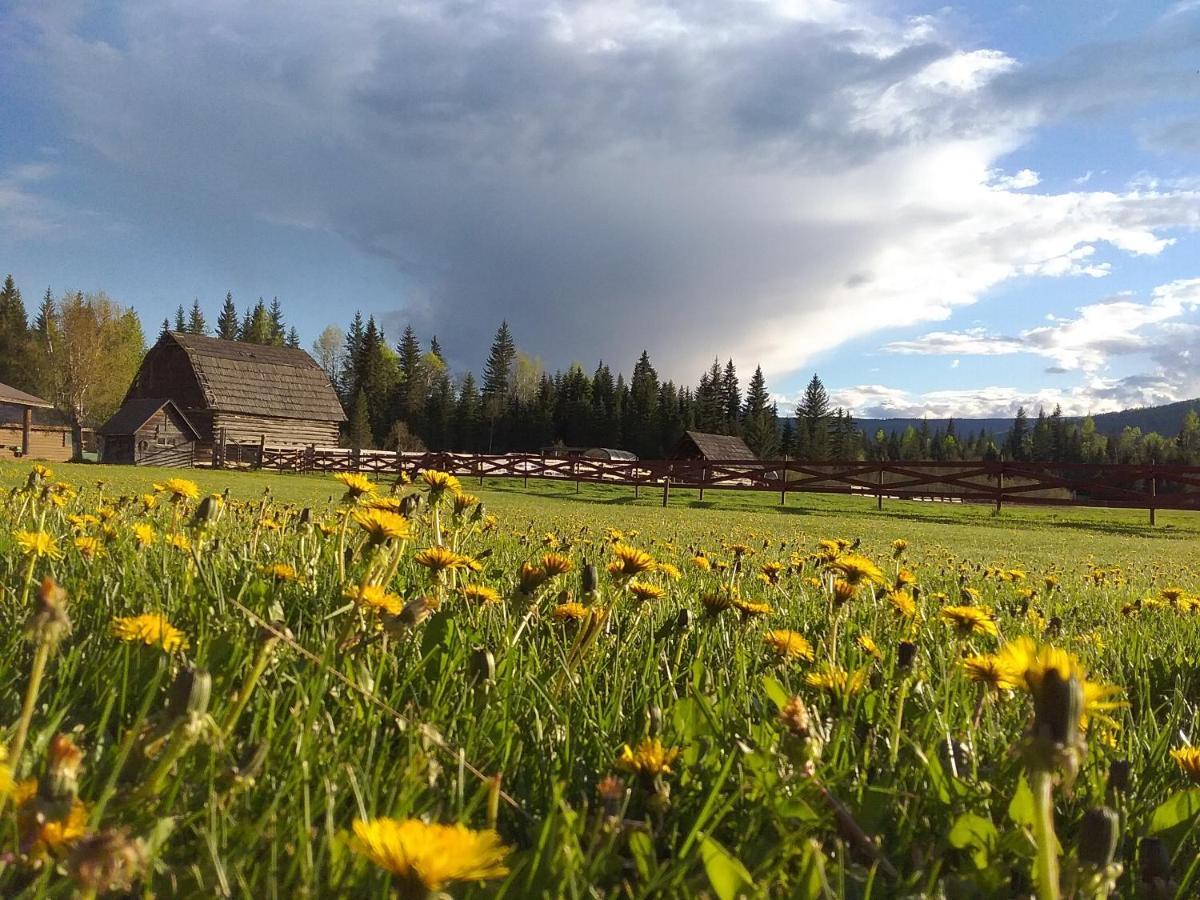 Wells Gray Guest Ranch Hotel Clearwater Exterior foto